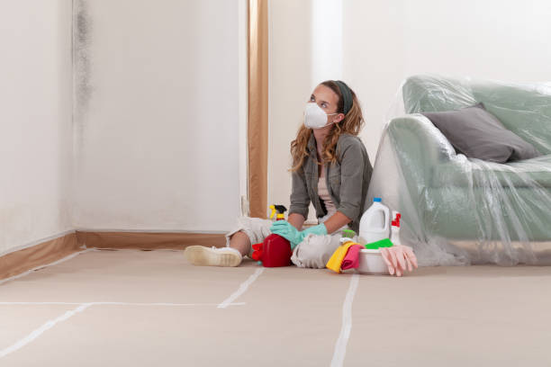 Reliable Mold Remediation contractor in Windsor, VA by Cheap Mold Removal